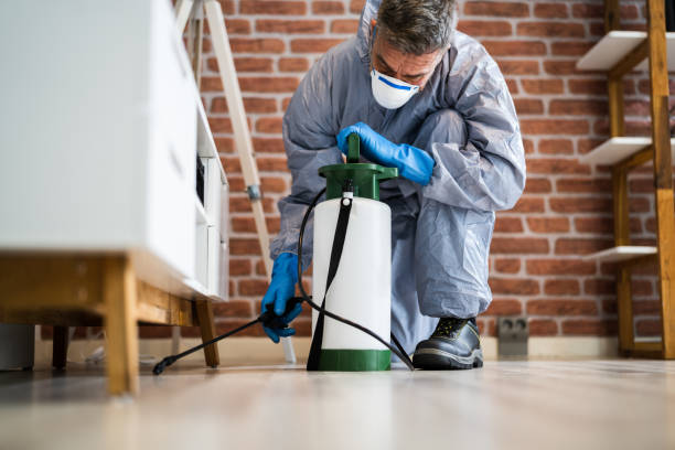 Best Pest Prevention Services  in Bell Nyon, CA